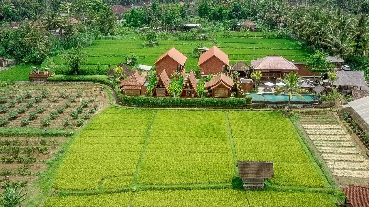 होटल Alam Kawi Ubud & Gianyar (Bali)