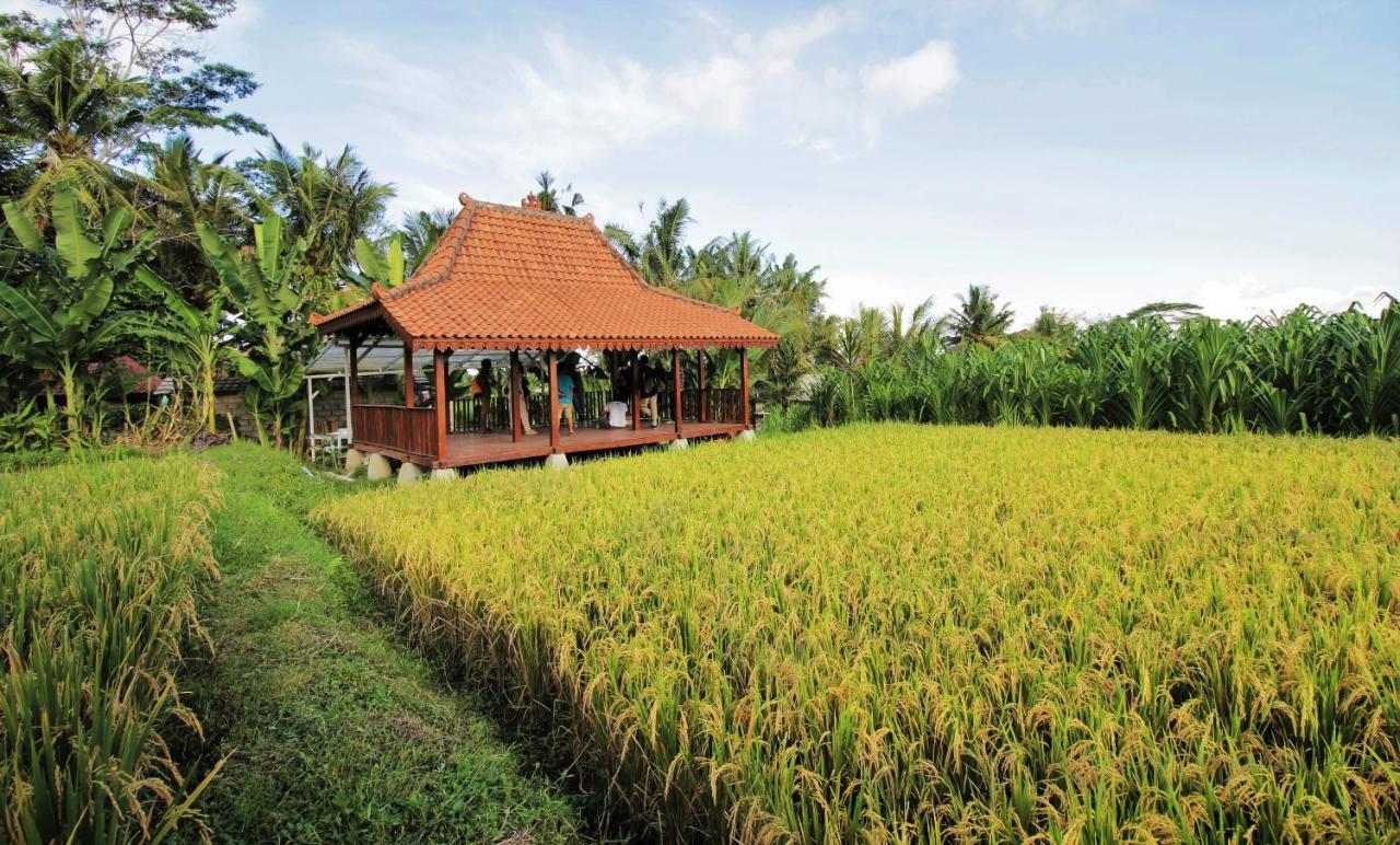 होटल Alam Kawi Ubud &