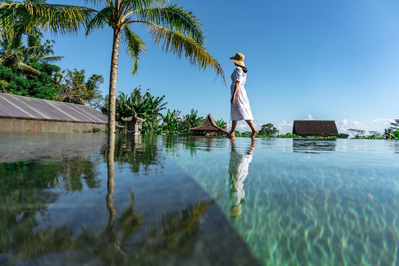 Alam Kawi Ubud & होटल